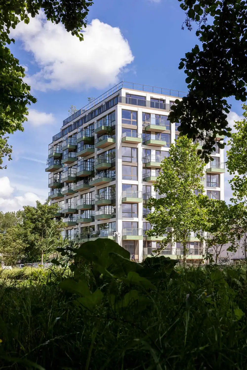 Urban Woods
